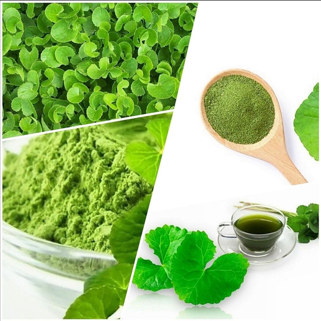 Dried Gotu Kola Powder Centella Asiatica Organic 100% Pure Leaf Herbal – 30g