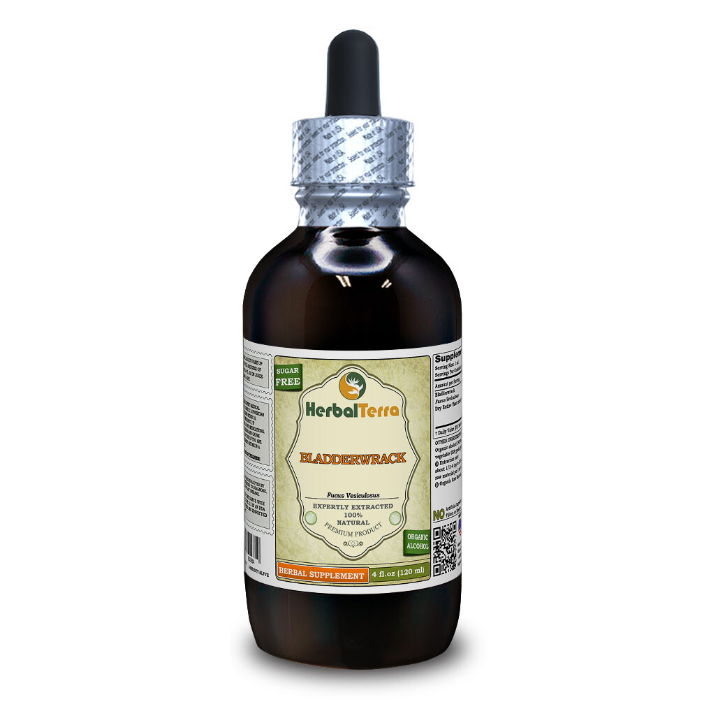 Bladderwrack (Fucus Vesiculosus) Tincture Dried Entire Plant Liquid Extract