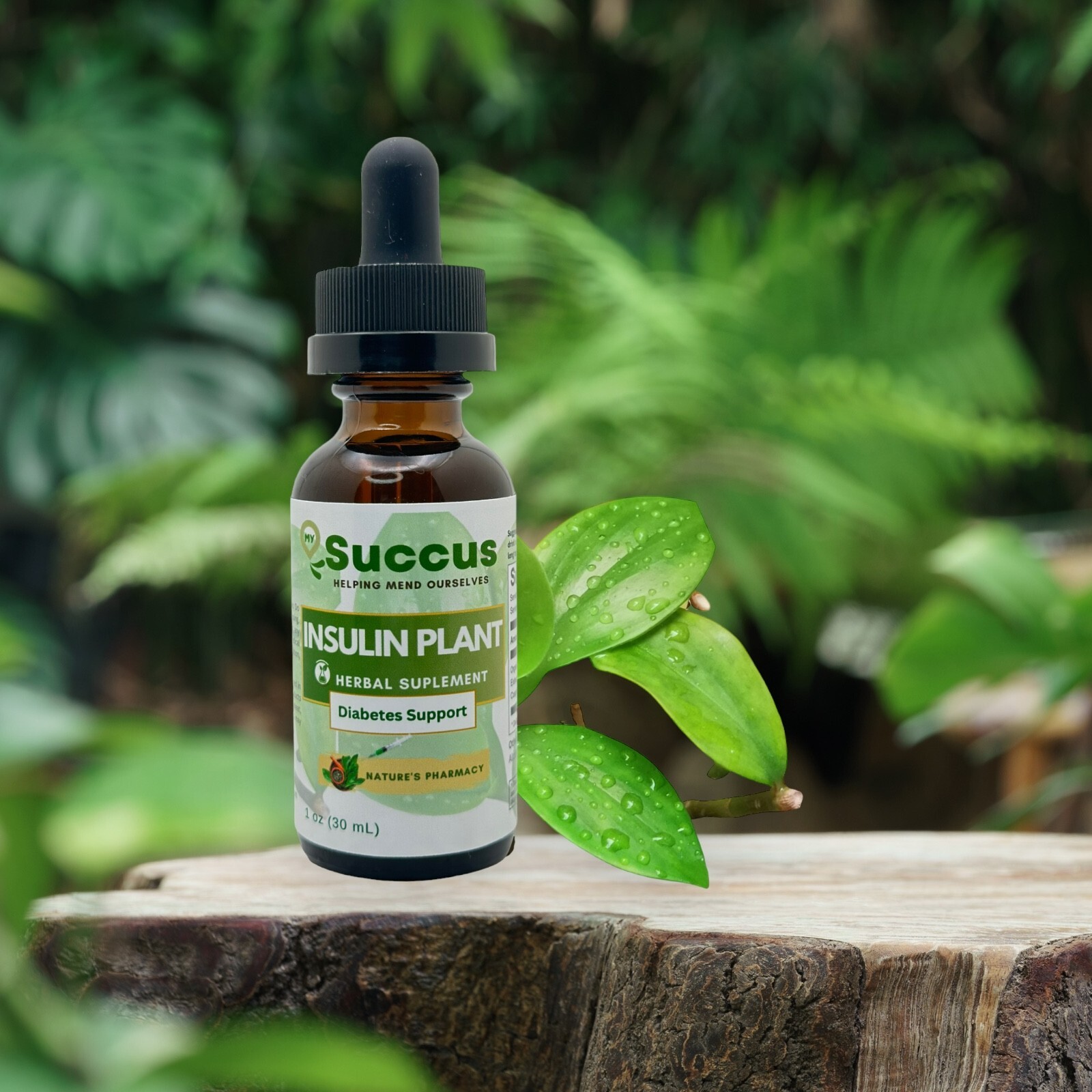 Insulin Plant Tincture – Blood Sugar Support