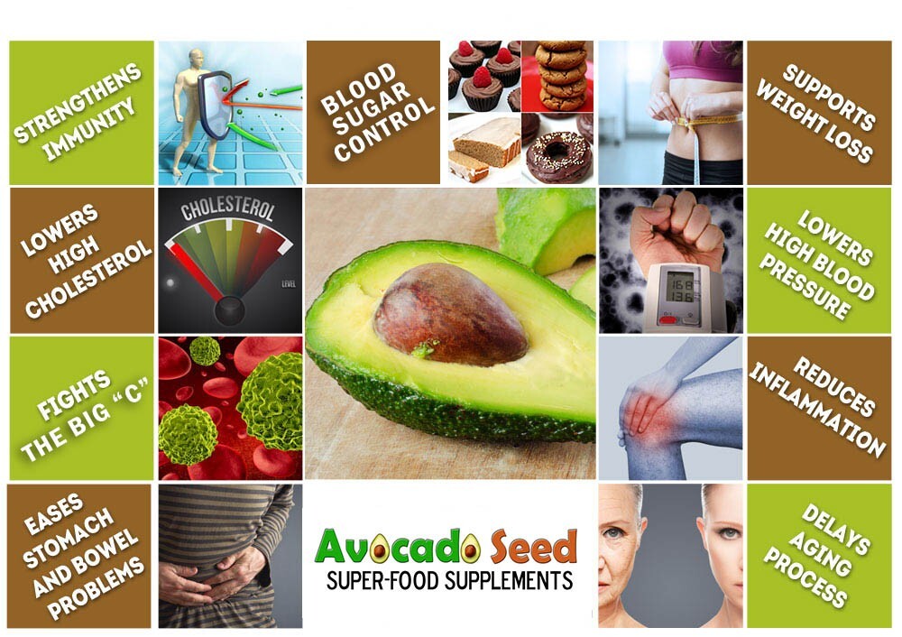 120 Avocado Seed Powder Capsules- Digestion,Blood Sugar,Cholesterol,Gut Bacteria