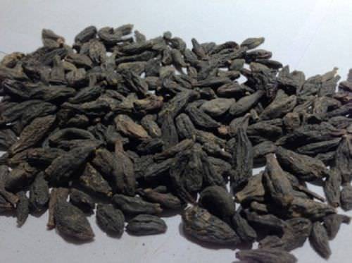 HARITAKI BLACK CHEBULIC MYROBALAN TERMINALIA CHEBULA HARDA – Free Ship- 50 gram