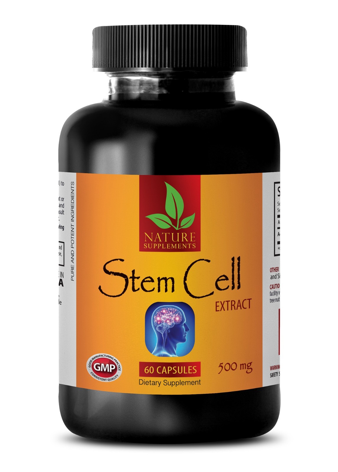 STEM CELL 500mg – Organic Blue Green Algae – Anti Aging – 60 Capsules