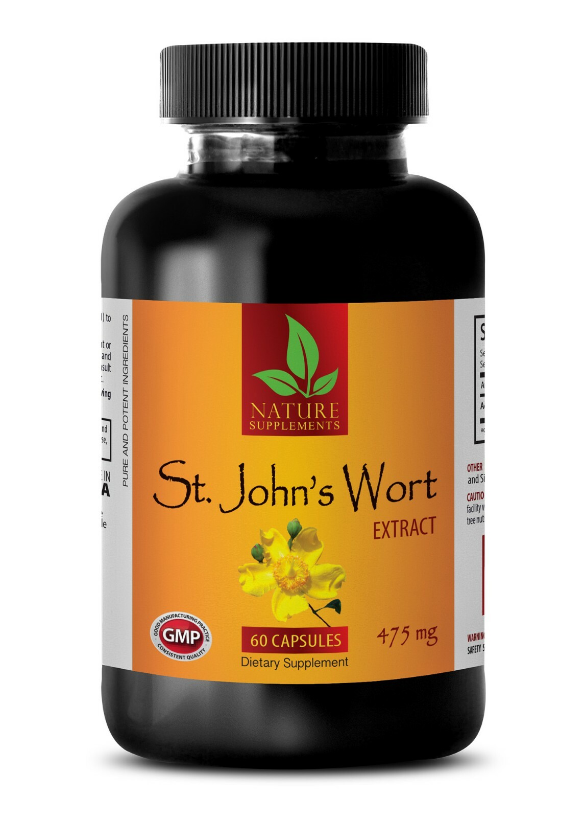 Ginkgo Biloba Powder – ST. JOHN’S WORT EXTRACT – Good For Stress 1B