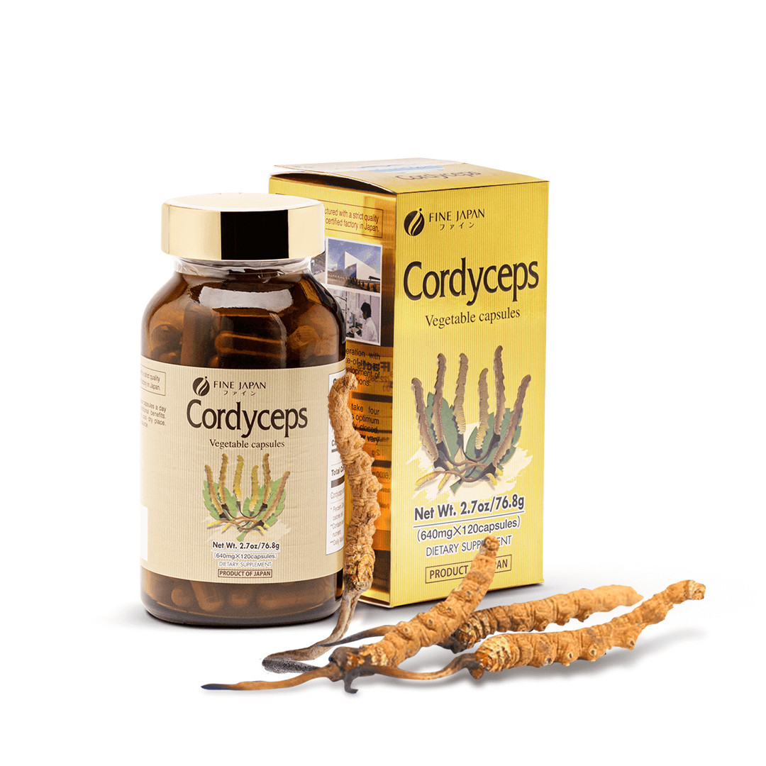 FINE JAPAN Cordyceps Mushroom – Energy, Stamina, Immune Support [12 Boxes]