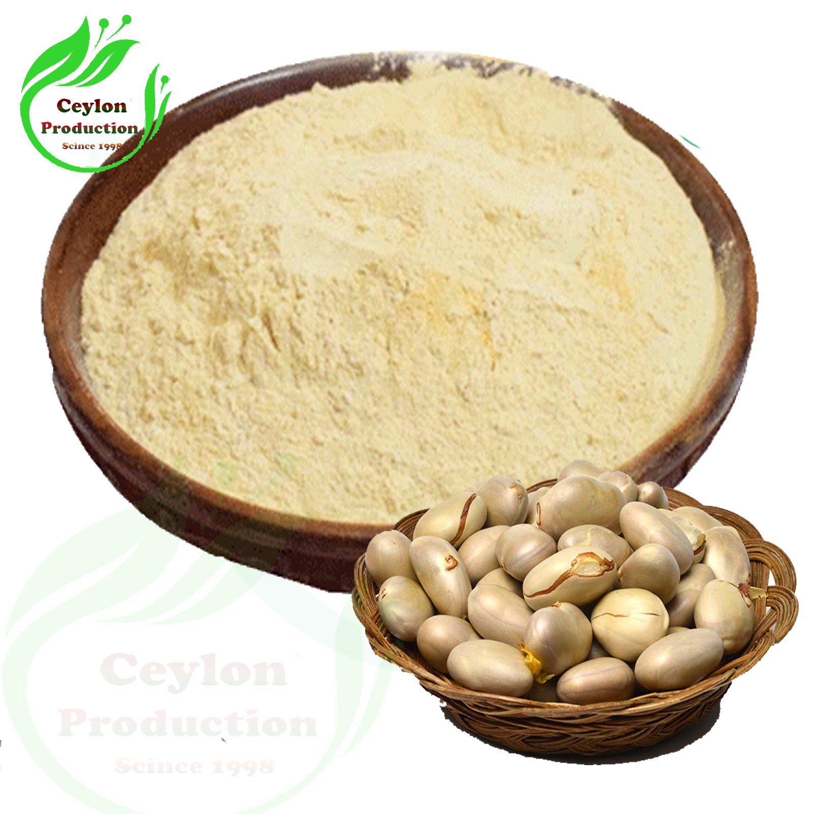 Jackfruit Seed ground powder Flour Dried Organic Artocarpus heterophyllus Kathal
