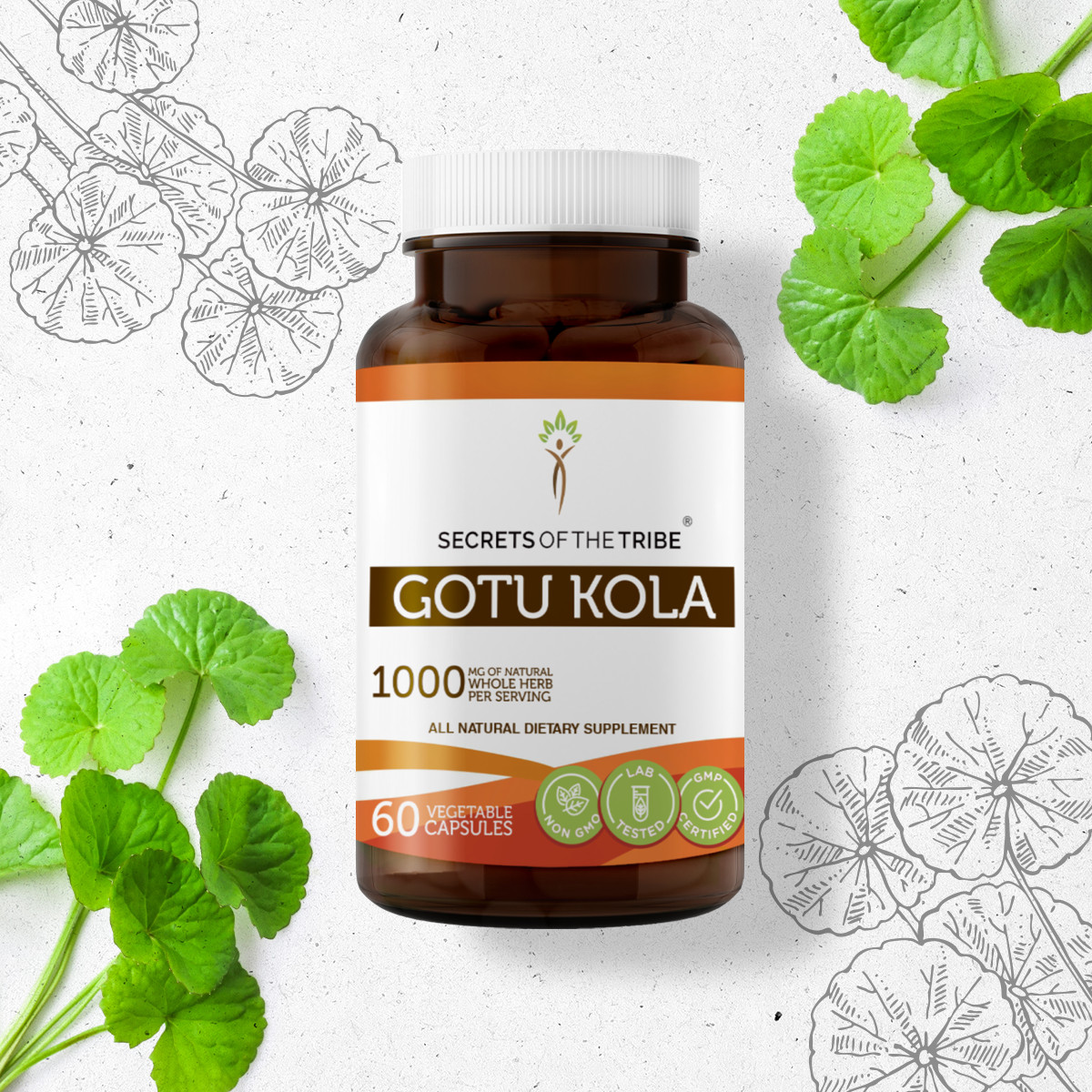 Secrets Of The Tribe Gotu Kola Capsules, 500 mg