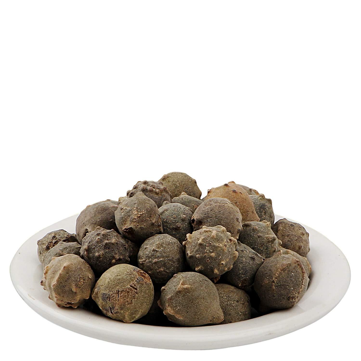 Majuphal – Oak Gall – Gallnuts – Manjakani – Quercus infectoria