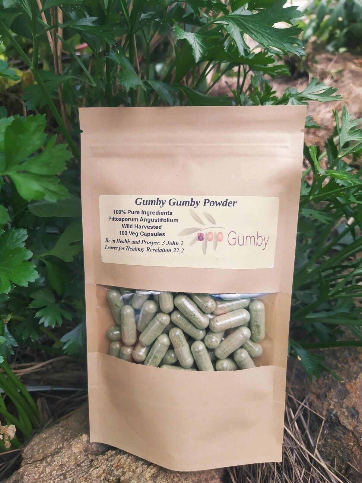 100 Veg Caps Gumby Gumby Size 00 = 30% More 100% Pittosporum Angustifolium
