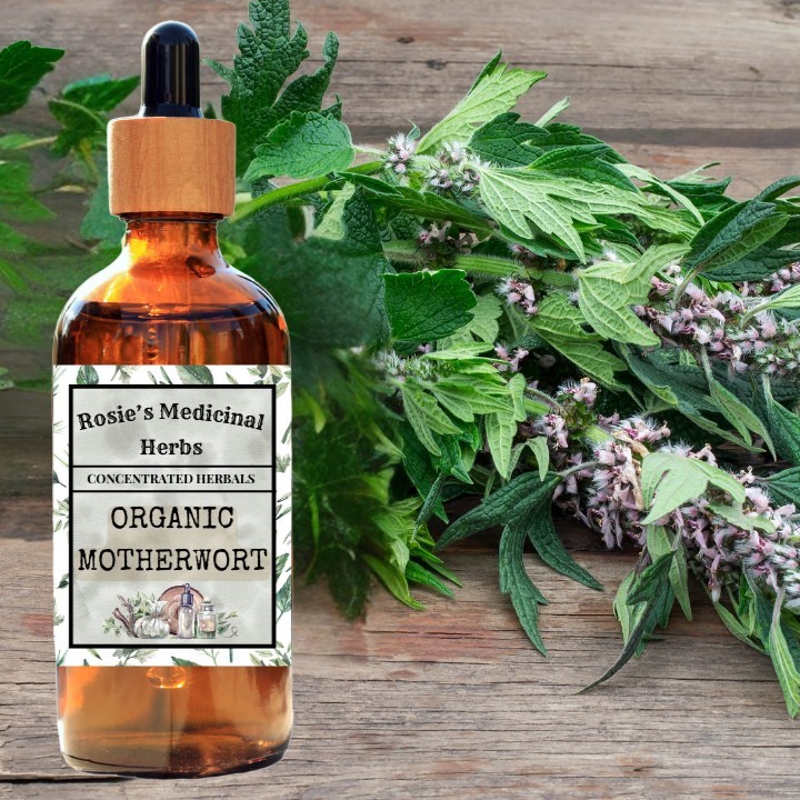 Organic Motherwort Tincture | Women’s Health | Heart | Stress | Hormones |