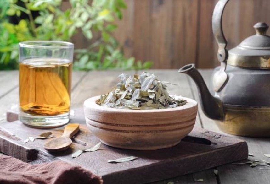 Senna Leaf | Whole Herb or Powder 1oz / 4oz / 8oz Sizes | Natural Digestive Aid