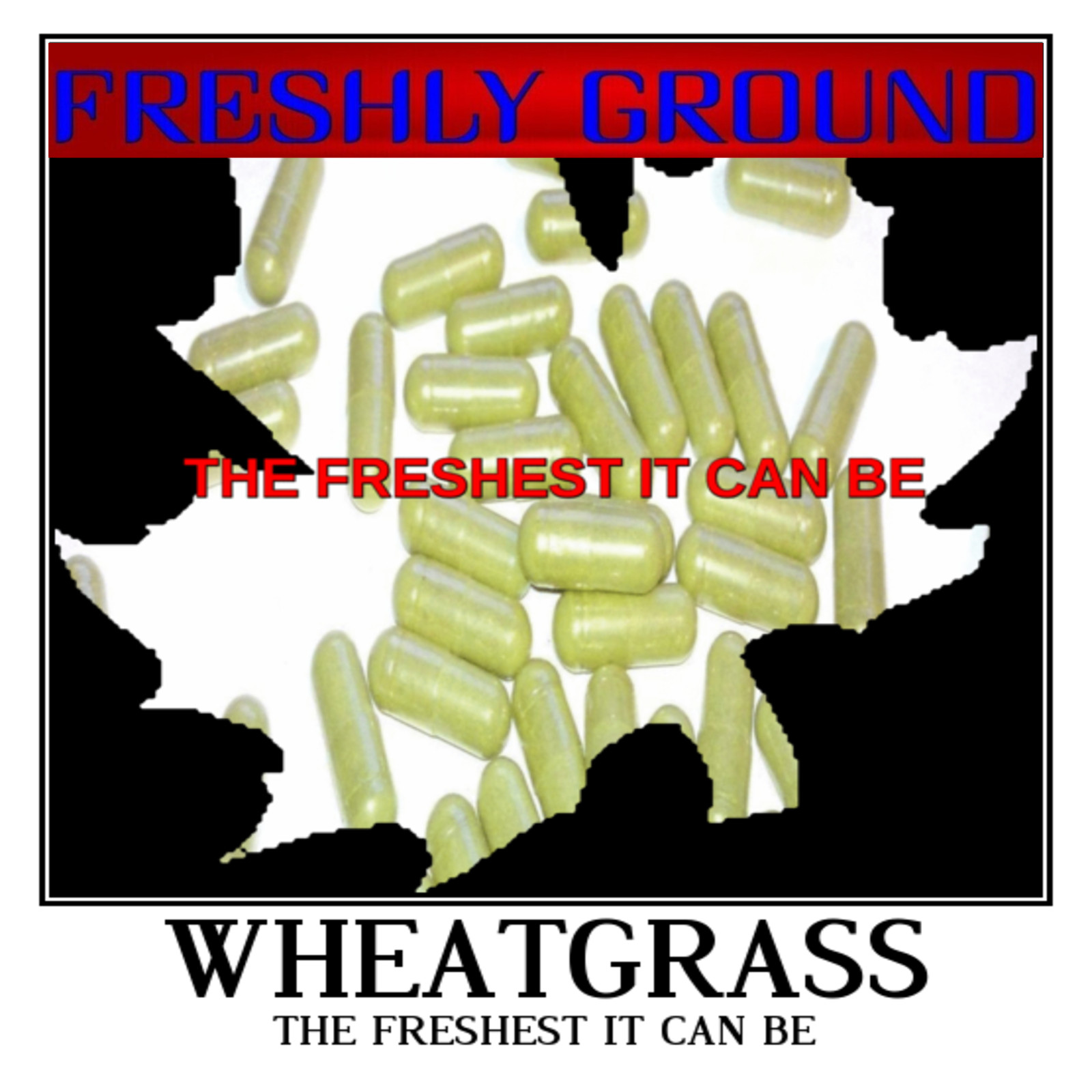 WHEATGRASS Wheat Grass Green Fresh Ground Potency 100 Veg Capsules