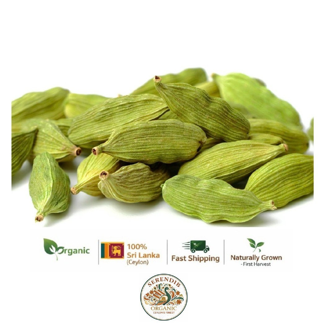 Ceylon Green Cardamom Pods Premium Herbal Quality Fresh Aromatic Sri Lanka