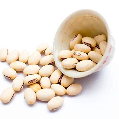 White Kaunch Seeds Mucuna Pruriens Velvet Bean Indian Konch Beej Kapikacchu