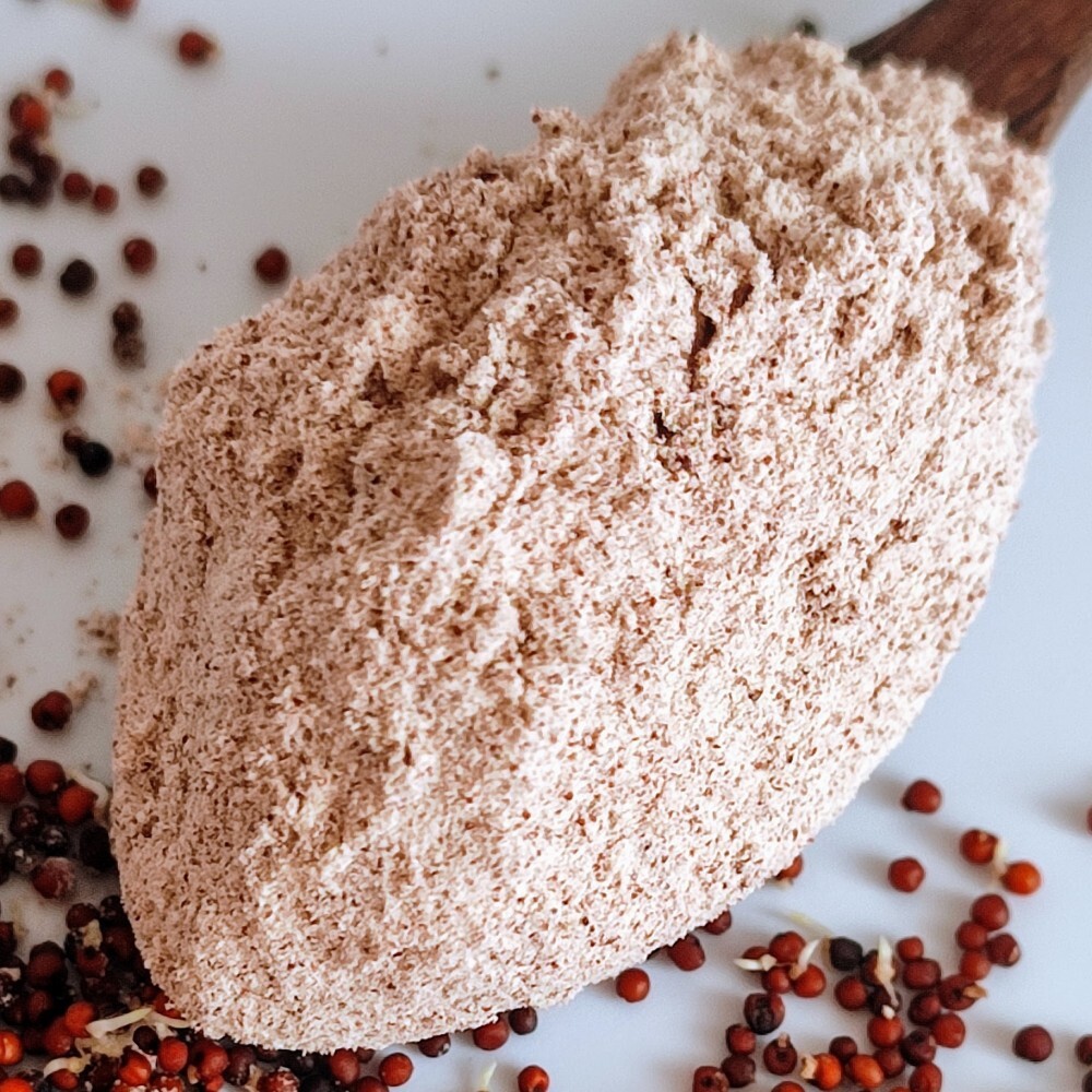 Ragi Powder – Finger Millet Powder – Raagi – Mandwa – Madua – Eleusine coracana