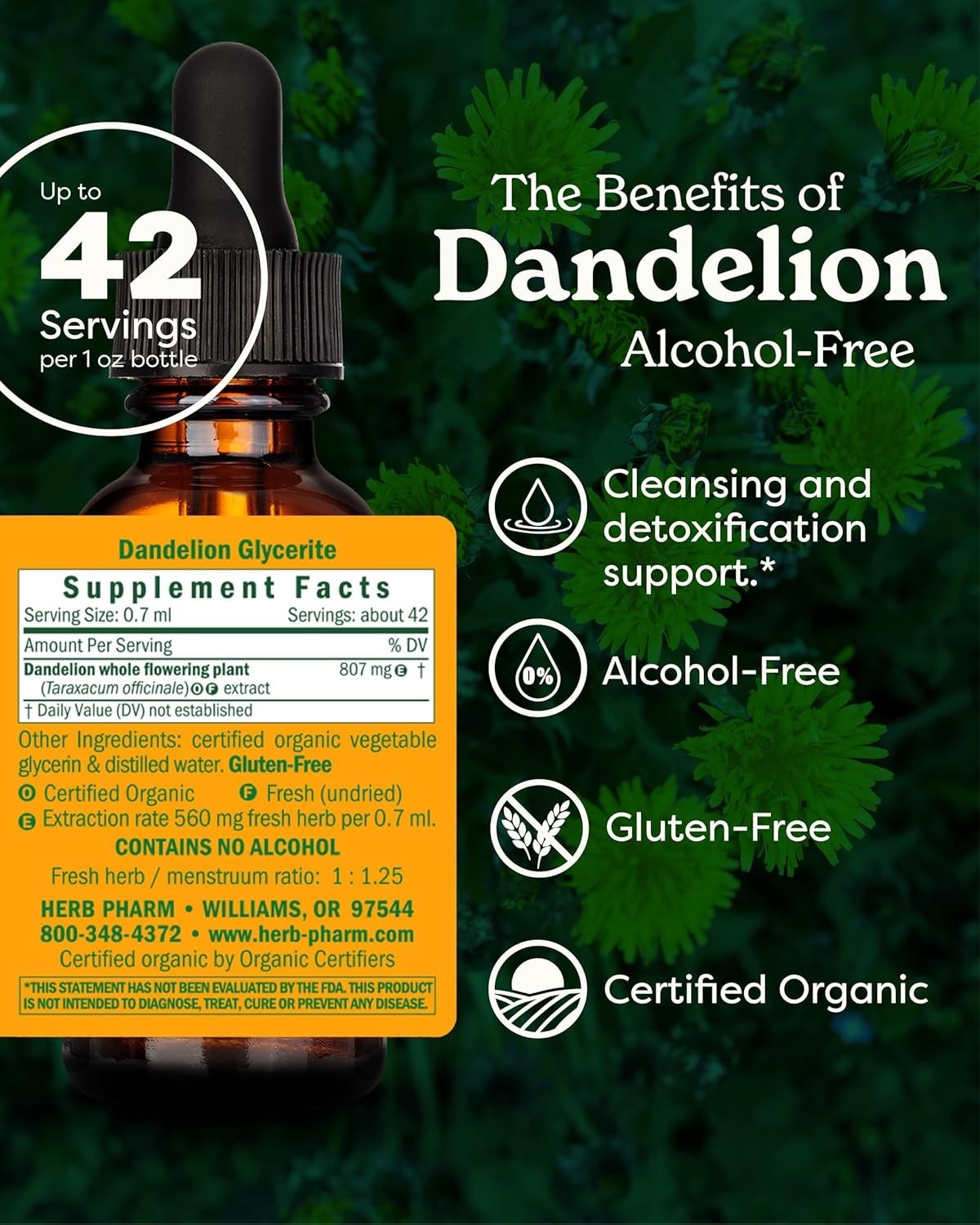 1 Fl Oz Certified Organic Dandelion Extract – Detoxifying Alcohol-Free Glycerite