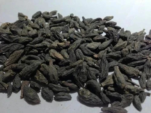 HARITAKI BLACK chebulic myrobalan Terminalia chebula kali choti harad Myrobalan