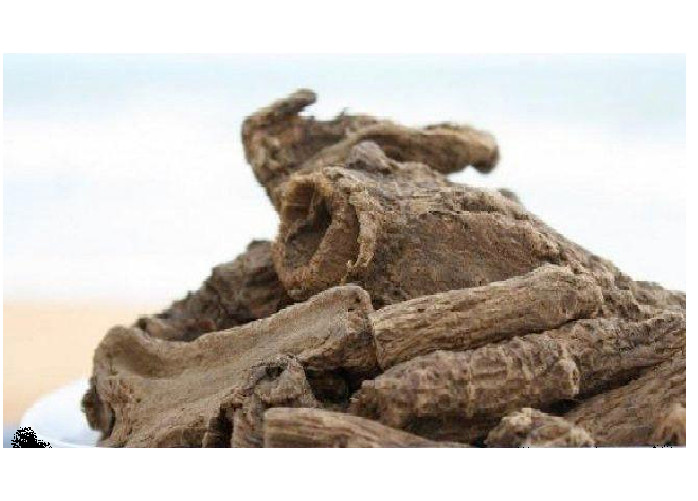 Kushta Roots Saussurea Lappa (Costus), Indian Raw & Whole Herbs 100g