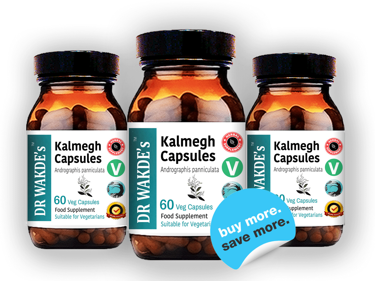DR WAKDE’S Kalmegh Capsules (Andrographis panniculata) | 60 Veg Caps | Ayurve…