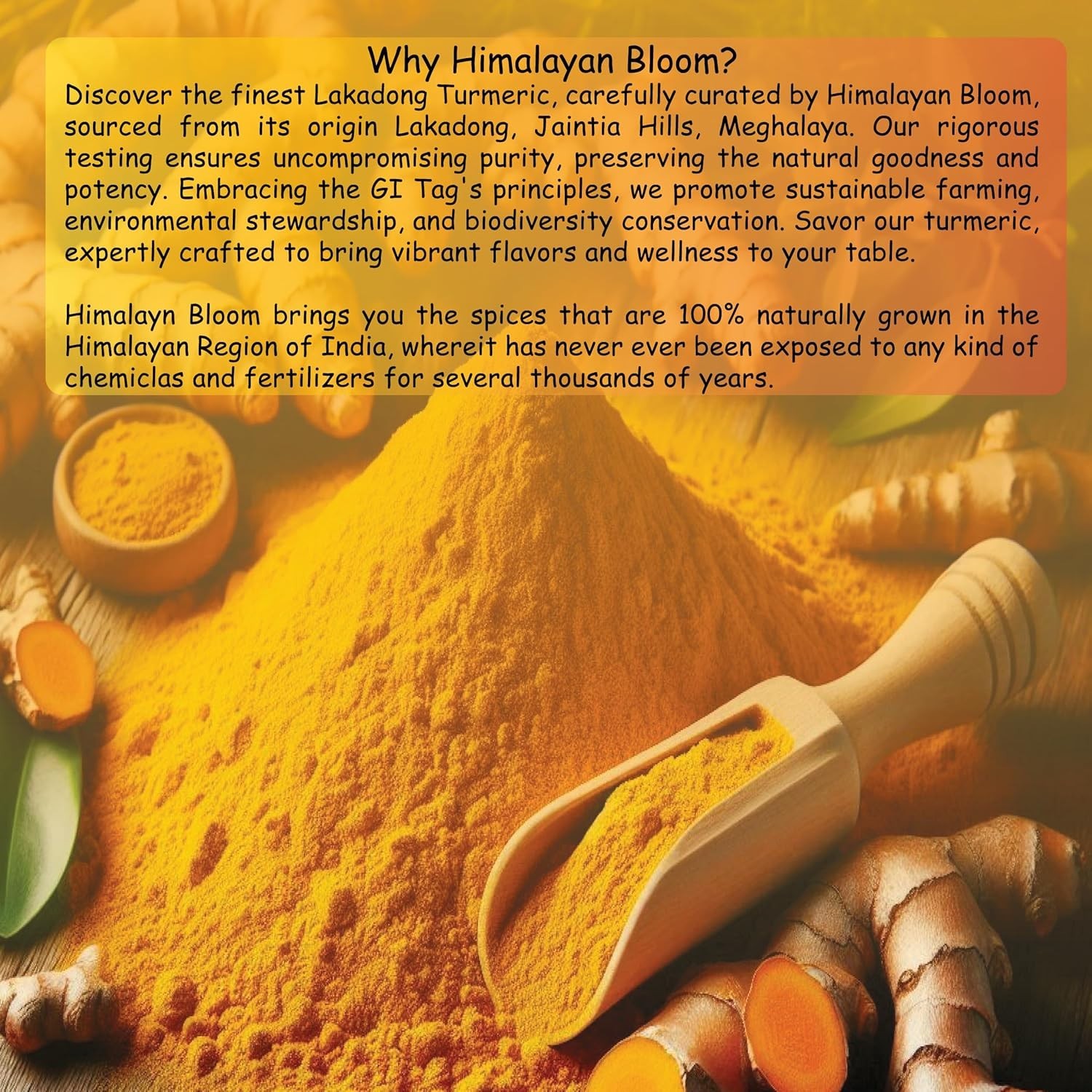 turmeric Bloom Lakadong Turmeric Powder 250gm – From the Lush Jaintia Hills of
