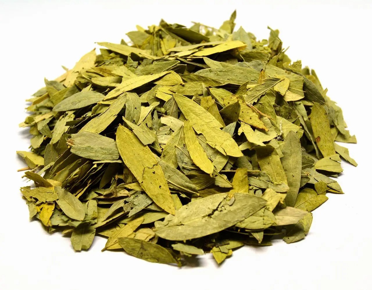 Senna leaf ( Senna Alexandrina, Hojas de Sen ) ORGANIC from Carpathian UA