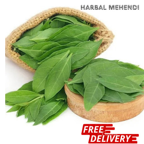 Mehendi Patta Dried Heena Leaves Natural Herbs Osdhi Jadi Booti Shiping Free
