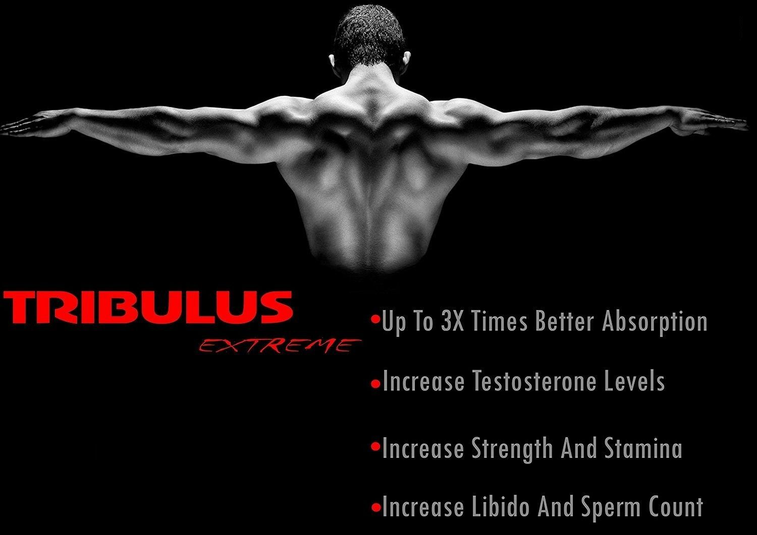 Tribulus Terrestris Extract Powder 95% Saponins High Strength Muscle Booster