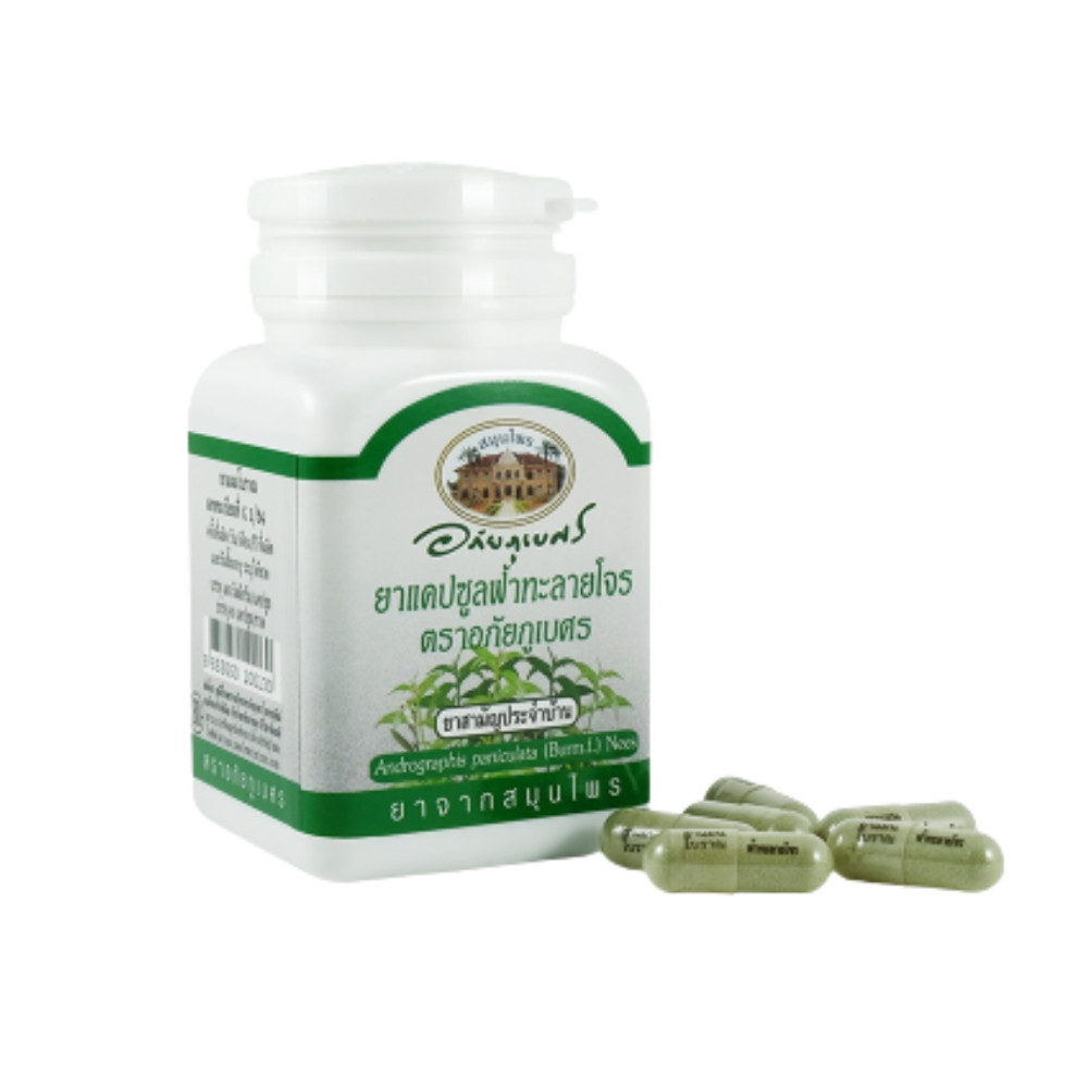 ANDROGRAPHIS PANICULATA ABHAIBHUBEJHR BRAND FOR FEVER 400MG x2