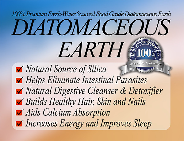 120 Diatomaceous Earth & Superfood Green Powder Capsules