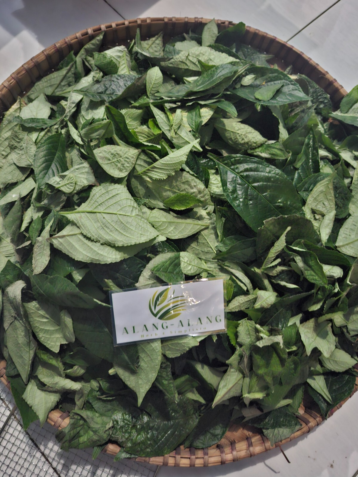 Daun Keji Beling ( Strobilanthes Crispus ) Black Face General Dried Leaves