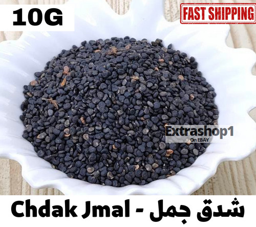 Chdak Jmal Incense Natural Frankincense Herb 10-130G شدق جمل بخور روحاني