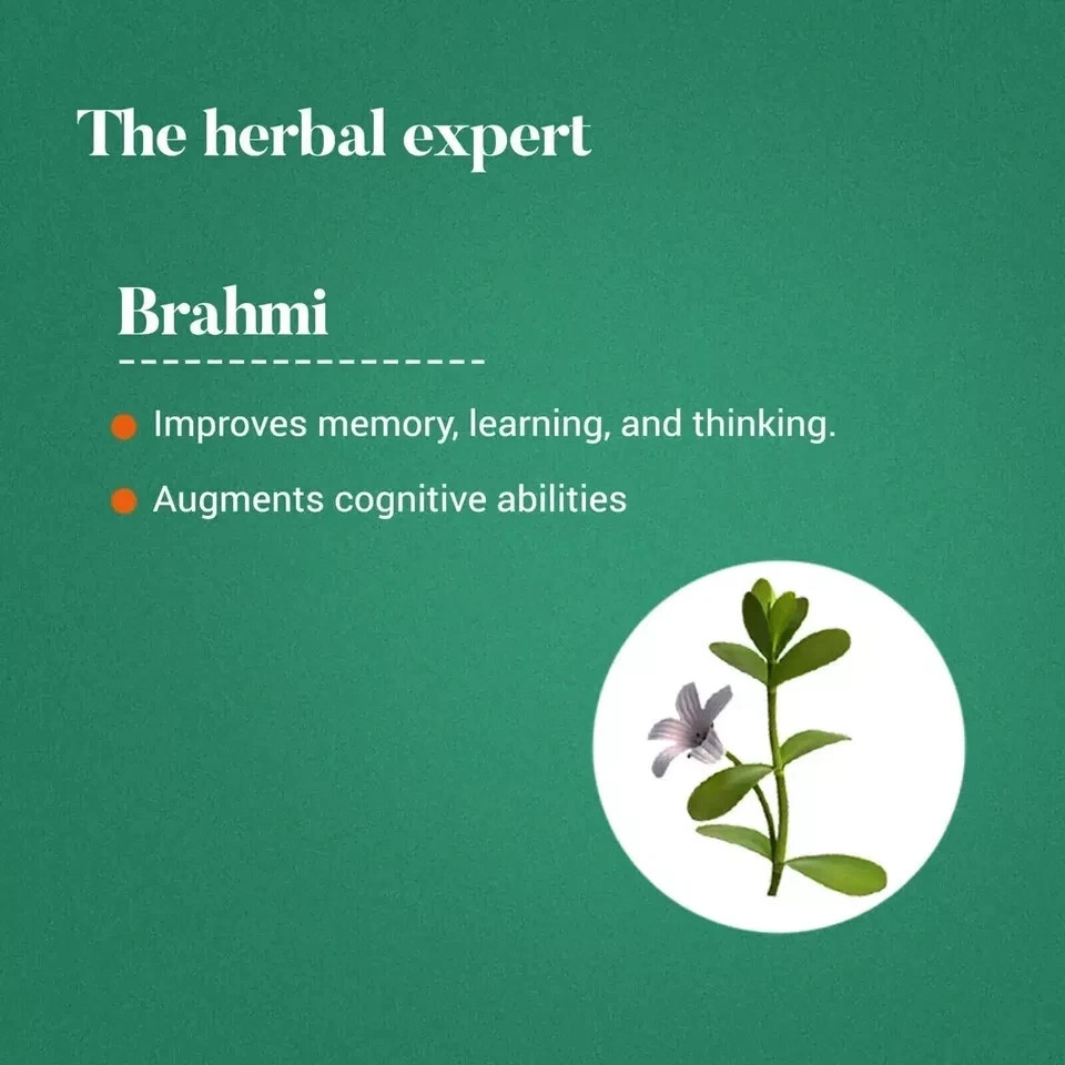 Himalaya Brahmi Tablets 10×60 | Natural Cognitive & Memory Support | EXP 12-2027
