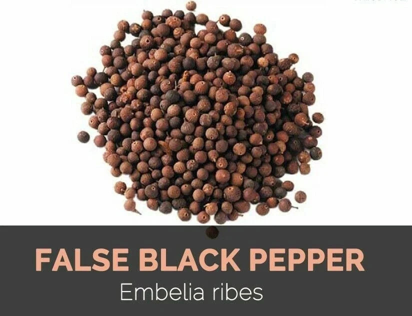 Pure Vidanga False Pepper Embelia Ribes POWDER Helps in skin disease FREE SHIP