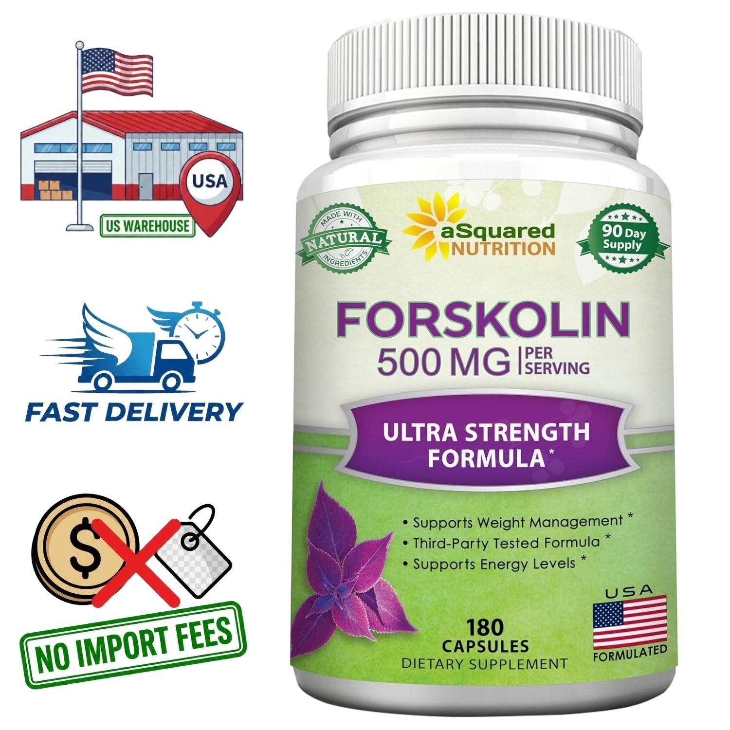 Coleus Forskohlii Raíz (Forskolin 500mg) 180 Cápsulas | Suministro para 90 Días