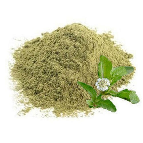 Bhringraj Powder – For Hair & Scalp Treatment – PURE ORGANIC HERBAL BHRUNGRAJ