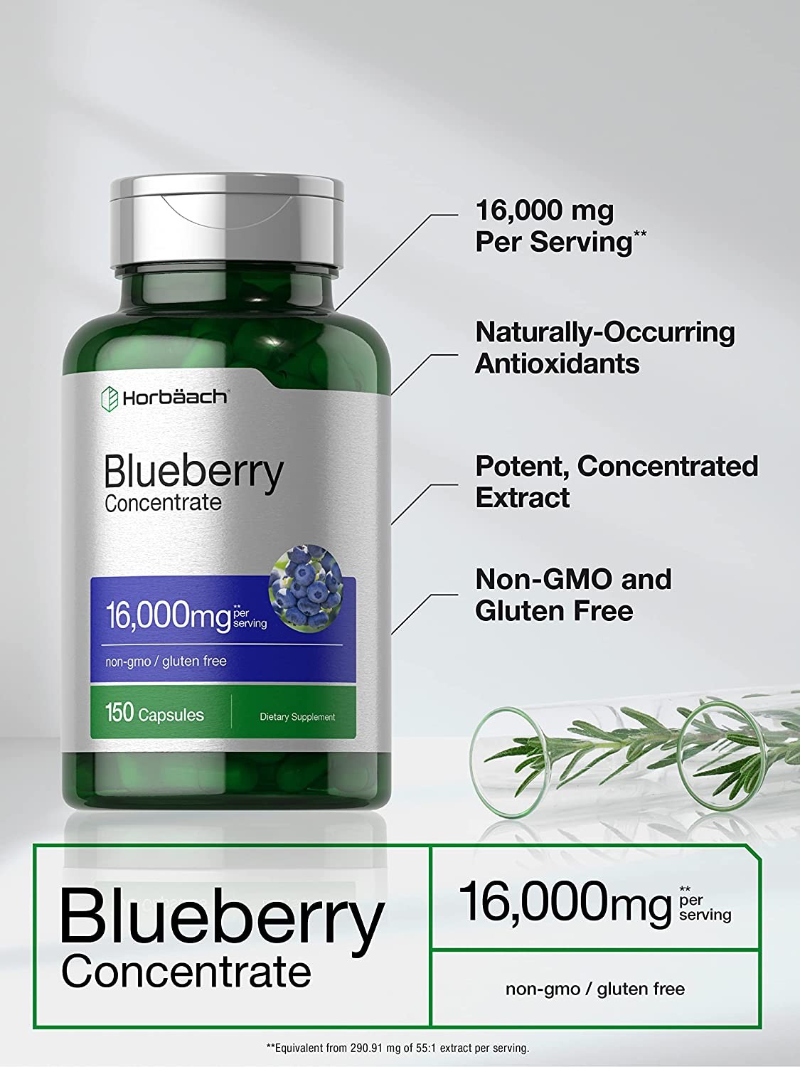 Blueberry Extract 16,000mg | 150 Count | Concentrated Supplement | by Horbaach