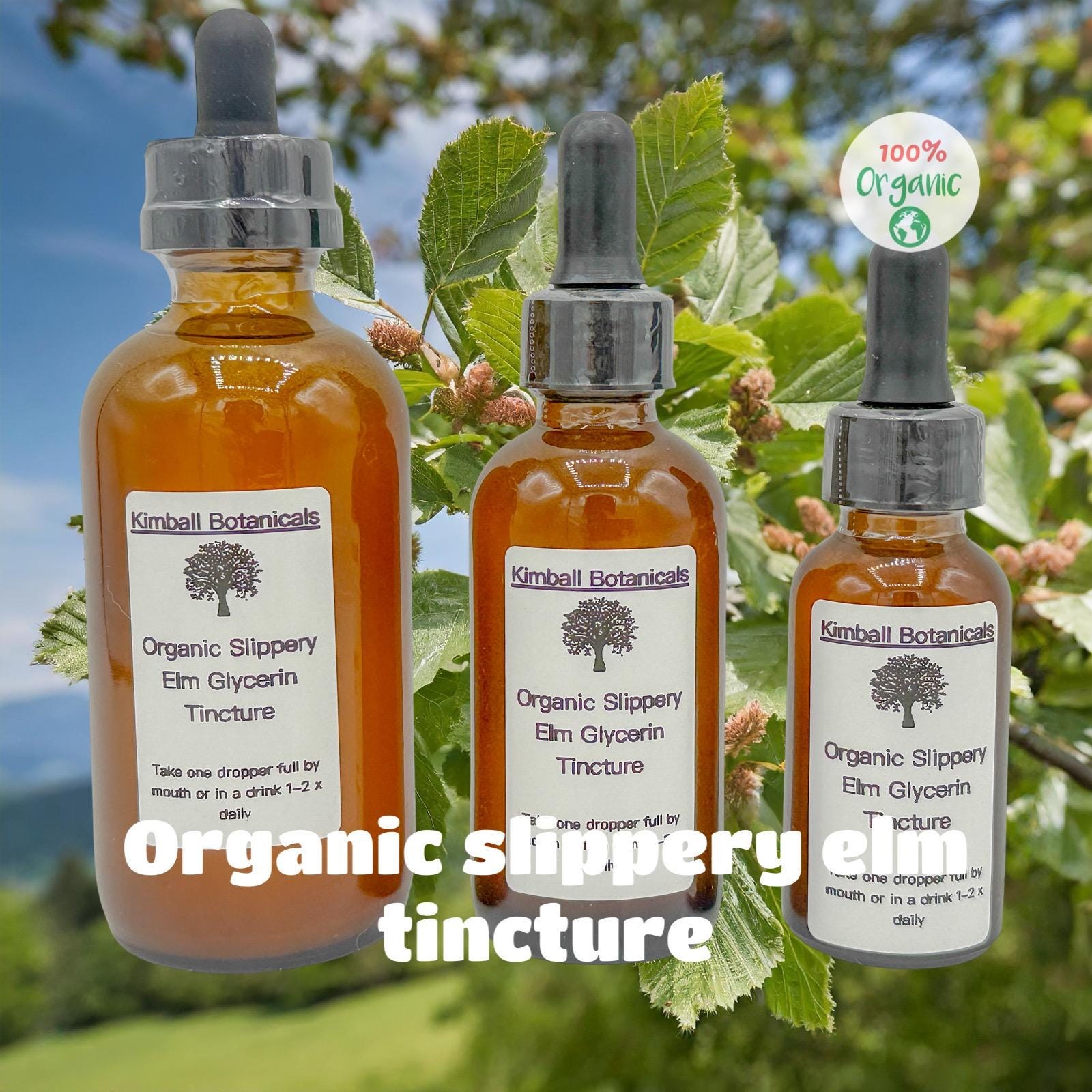 USDA Certified Organic Slippery Elm (Ulmus rubra) Glycerin Tincture Double