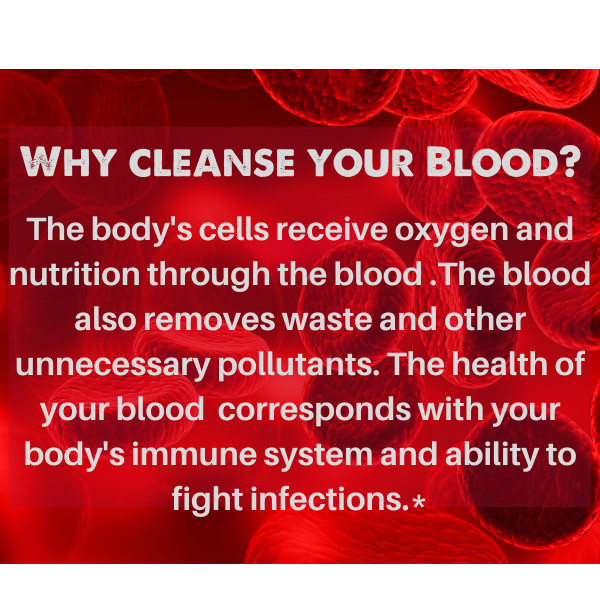 SpeedyVite® Blood LifeBoost® USDA Organic / Wild (4oz/8oz/28bags) Cleansing Tea