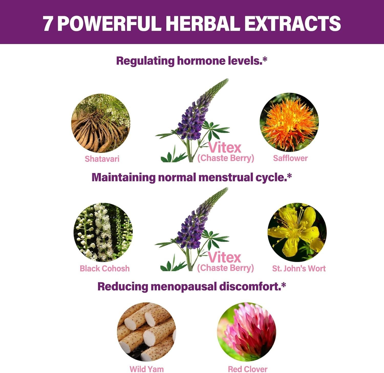 Fuenvegtal Herbal Drops, Natural Chaste Berry (Vitex Agnus-castus) Extract