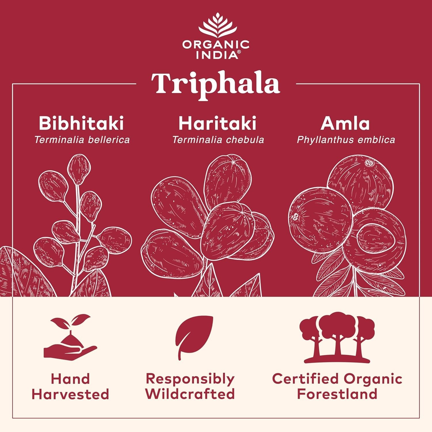 ORGANIC INDIA Triphala 180 Capsules Organic – Herbal Supplement with Amla