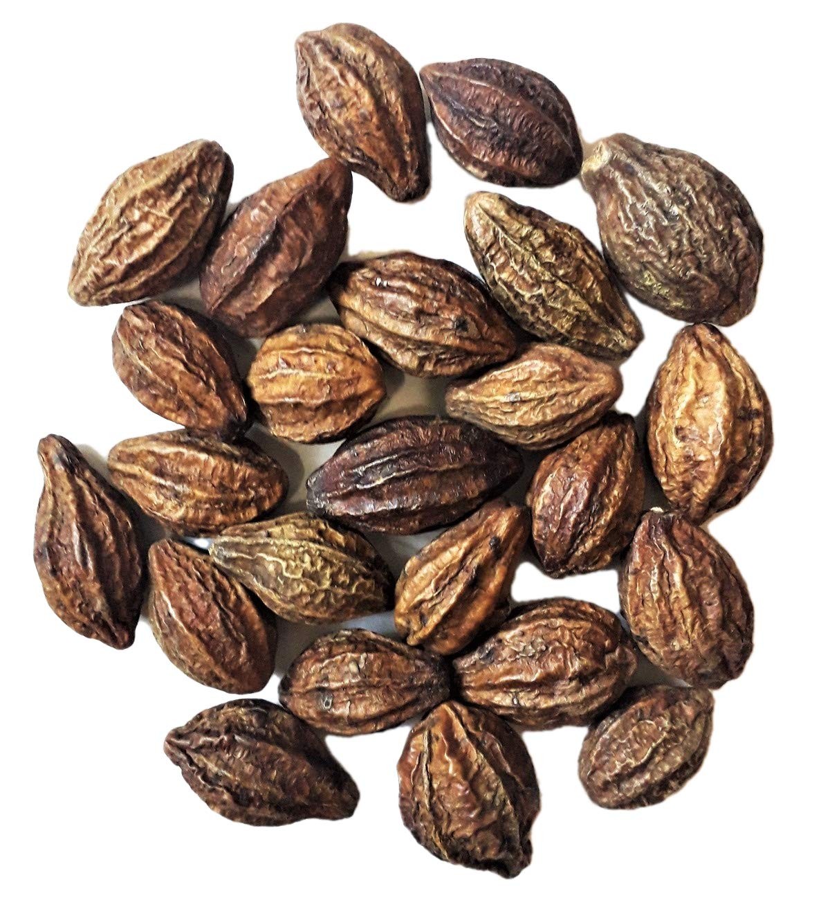 Eva Impex Terminalia Chebula Fruit – Black Haritaki