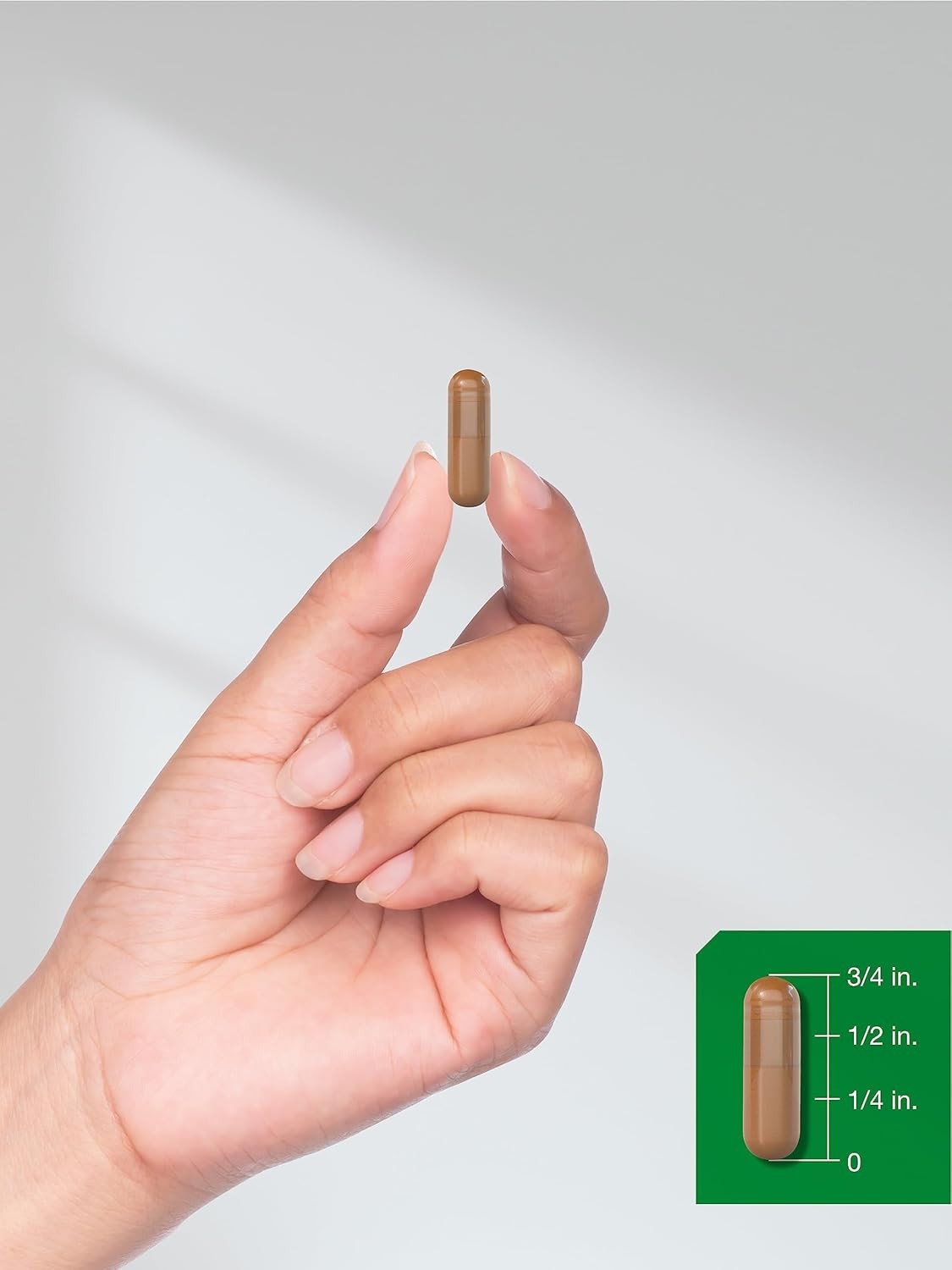 Horbäach Mushroom Complex Capsules 150 Count Reishi Chaga Lions Mane Cordyceps