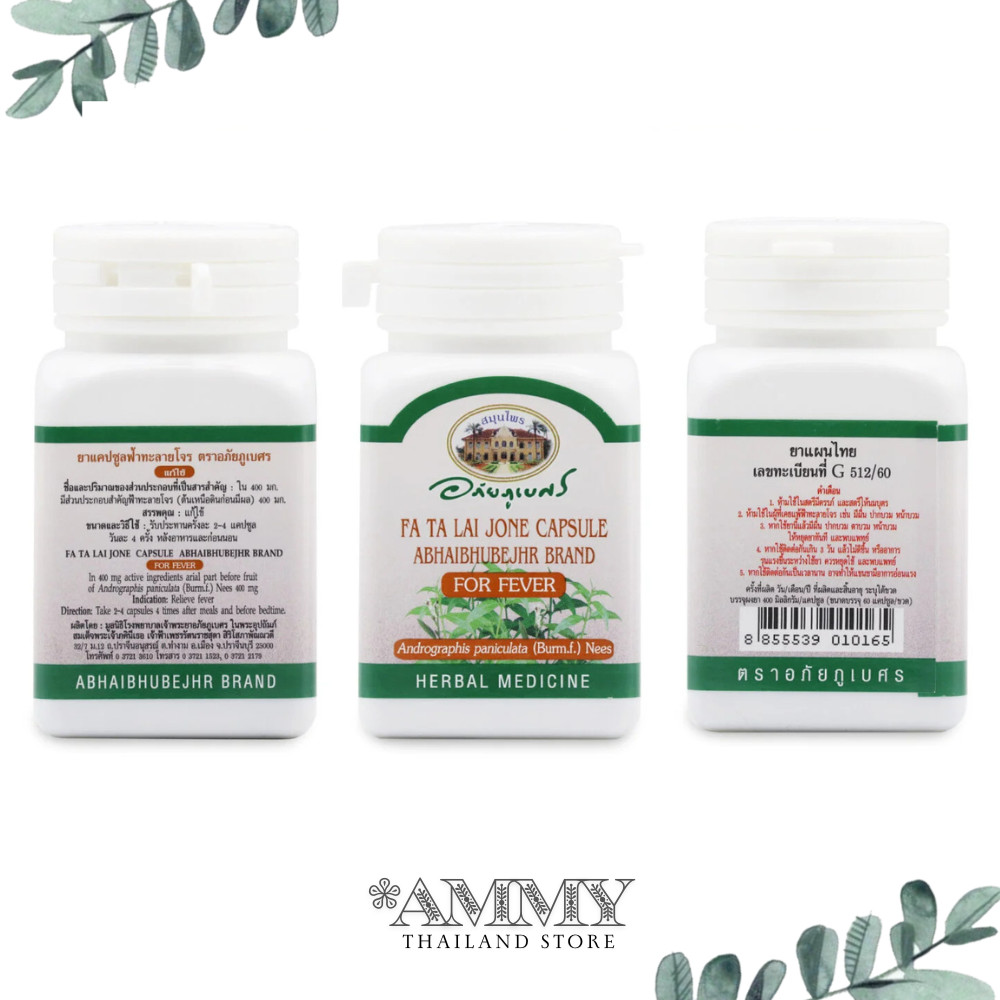 ANDROGRAPHIS PANICULATA ABHAIBHUBEJHR BRAND FOR FEVER 400MG x2