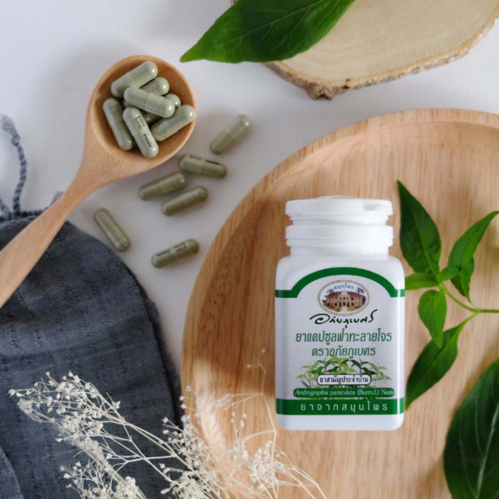 ANDROGRAPHIS PANICULATA ABHAIBHUBEJHR BRAND FOR FEVER 400MG x2