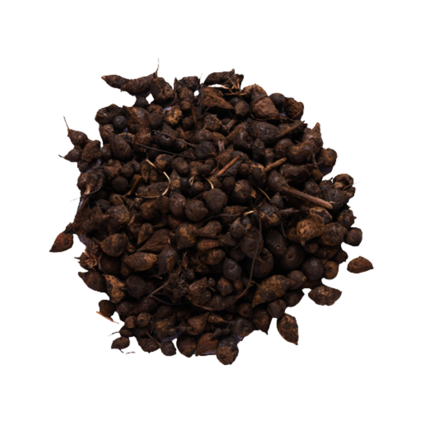Cyperus Rotundus 25g–250g | نبات السعد | Natural Nut Grass Herb – Ayurvedic Herb